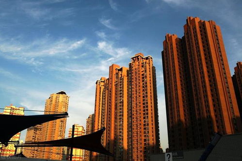 金九 過半,上海樓市量價(jià)齊跌,想割韭菜早已沒那么容易