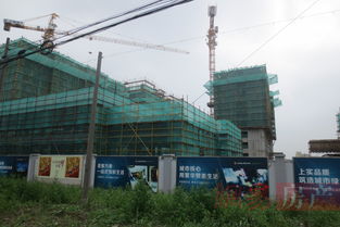 上實海上薈 上海上實海上薈配套實景圖,樣板間,效果圖,戶型圖 上海網(wǎng)易房產(chǎn)